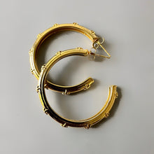Anti Tarnish Earrings