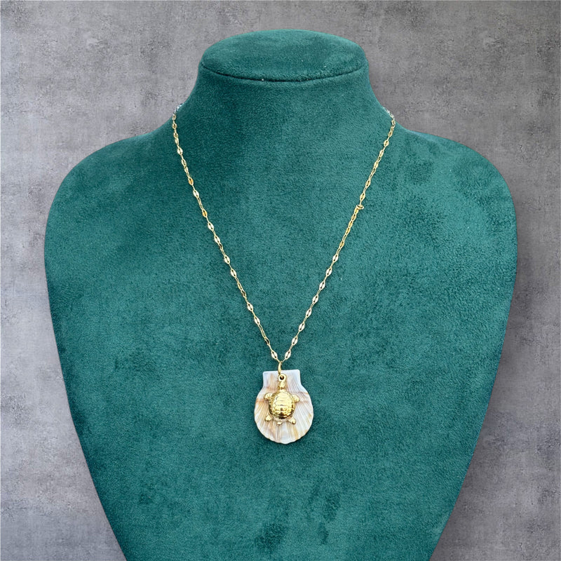 Shell and Turtle - Two Layer